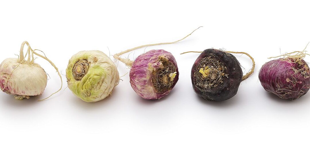 Welches Maca ist das beste? So findest du die richtige Sorte für dich